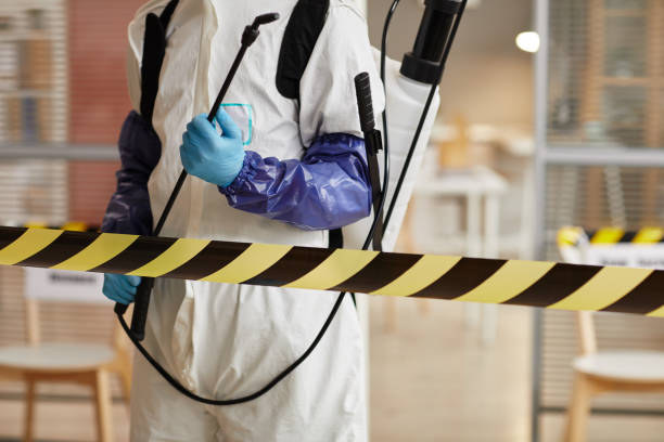 Professional Sewage Cleanup technician working in Longwood, FL